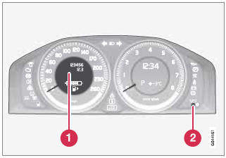 Trip odometers and reset button