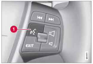 Voice control button on the steering wheel