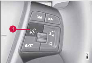Voice control button on the steering wheel